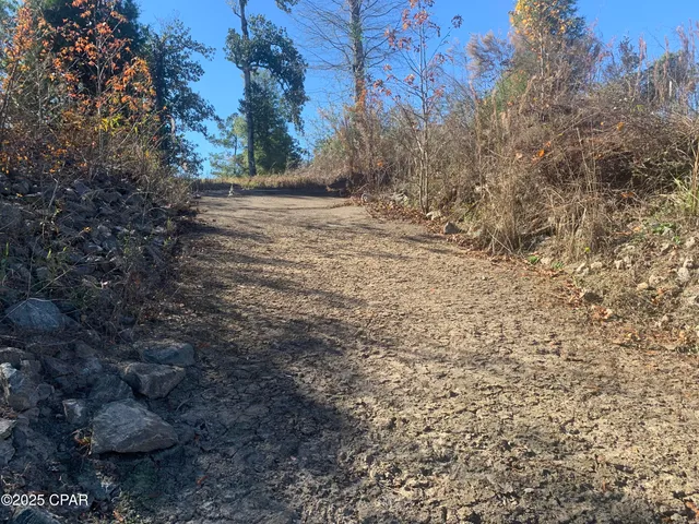 $159,000 | 0 Missy Lane, Clarksville, FL 32430