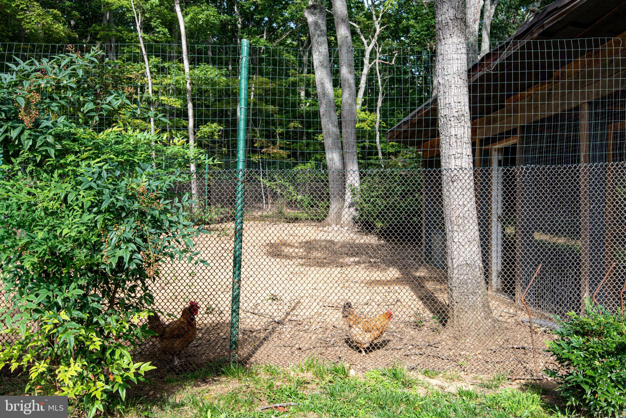 5406 Mountain Road Broad Run, VA 20137 - Photo 36 of 54 Chicken Coop or use as Run in Shed for horses
