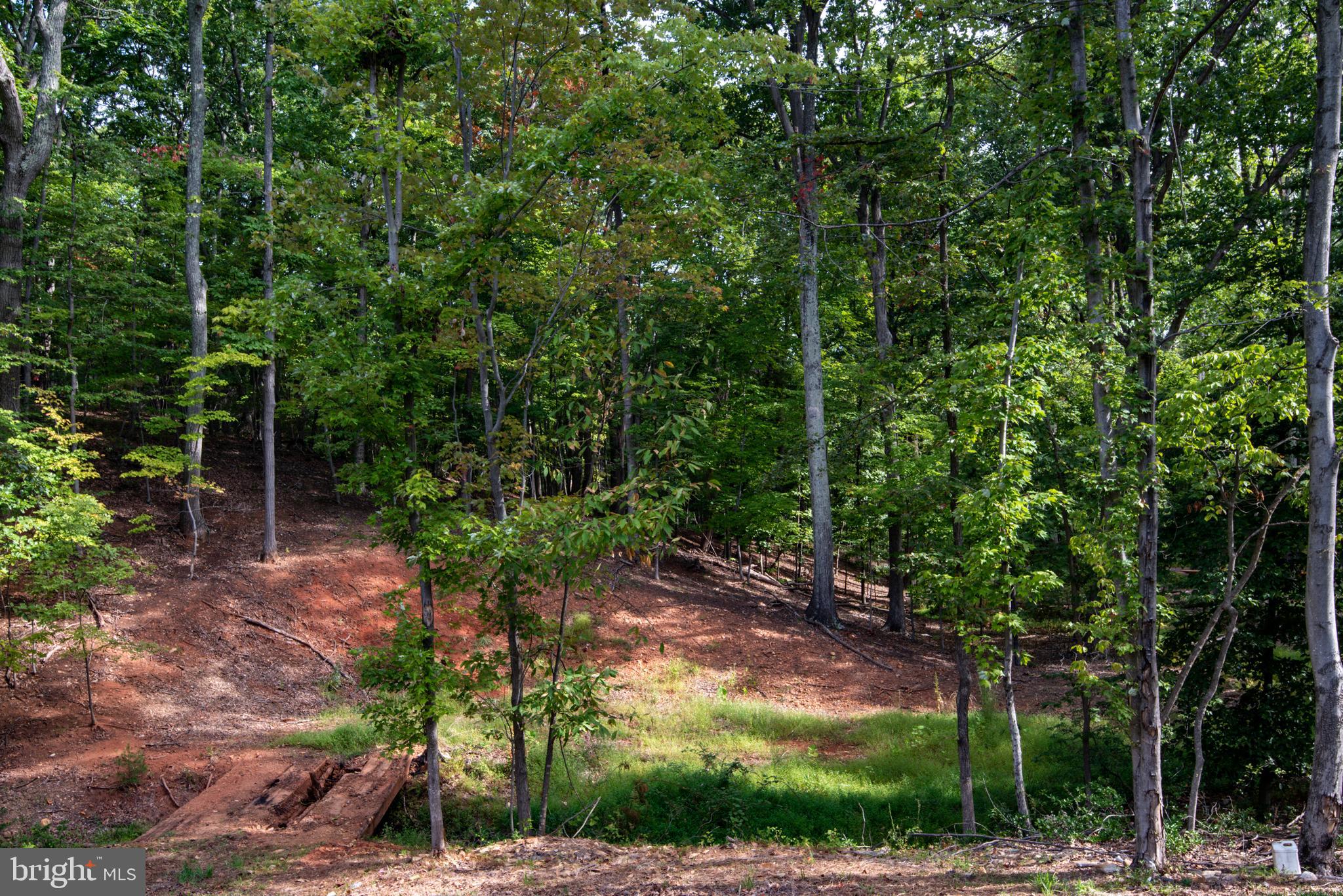 5406 Mountain Road Broad Run, VA 20137 - Photo 54 of 54 Creek Runs through middle of property