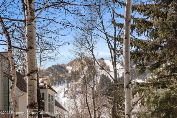 $60,000 | 135 West Francis Street, Aspen, CO 81611