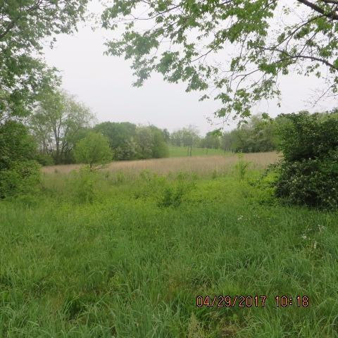1 Cynthiana Road Paris, KY 40361 - Photo 1 of 3 Photo 1