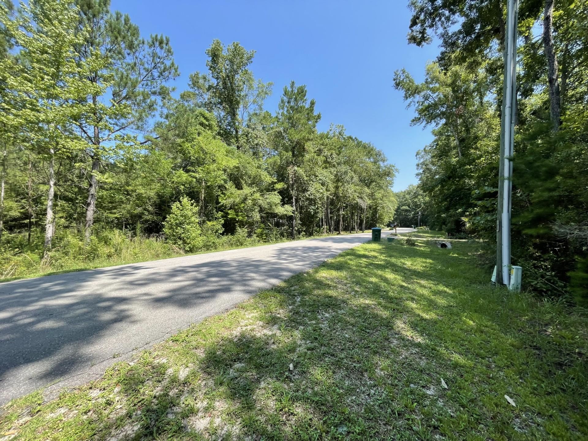 Xxx River Plantation Road Crawfordville, FL 32327 - Photo 12 of 20