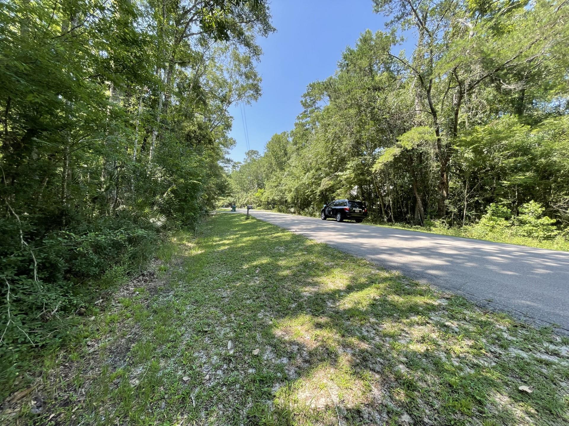 Xxx River Plantation Road Crawfordville, FL 32327 - Photo 13 of 20