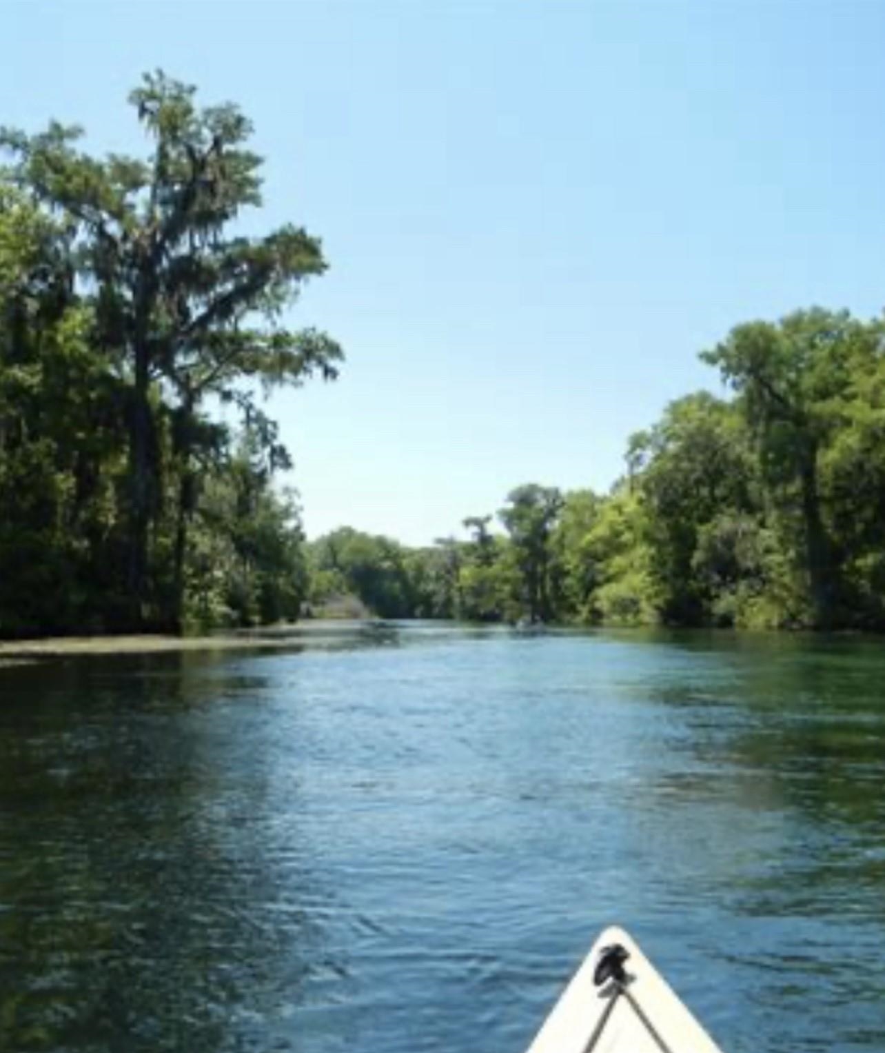 Xxx River Plantation Road Crawfordville, FL 32327 - Photo 14 of 20