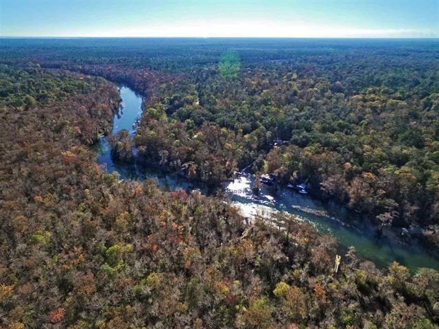 Xxx River Plantation Road Crawfordville, FL 32327 - Photo 5 of 20