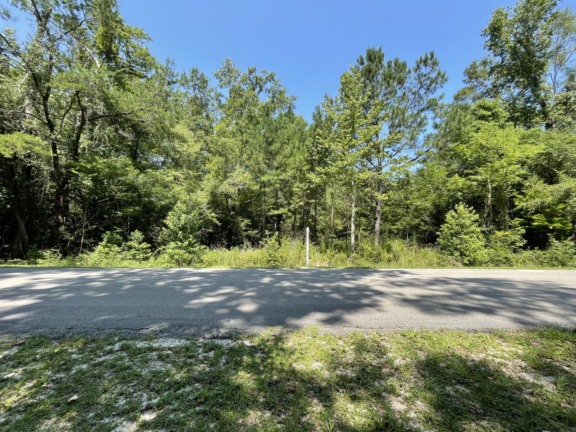Xxx River Plantation Road Crawfordville, FL 32327 - Photo 9 of 20