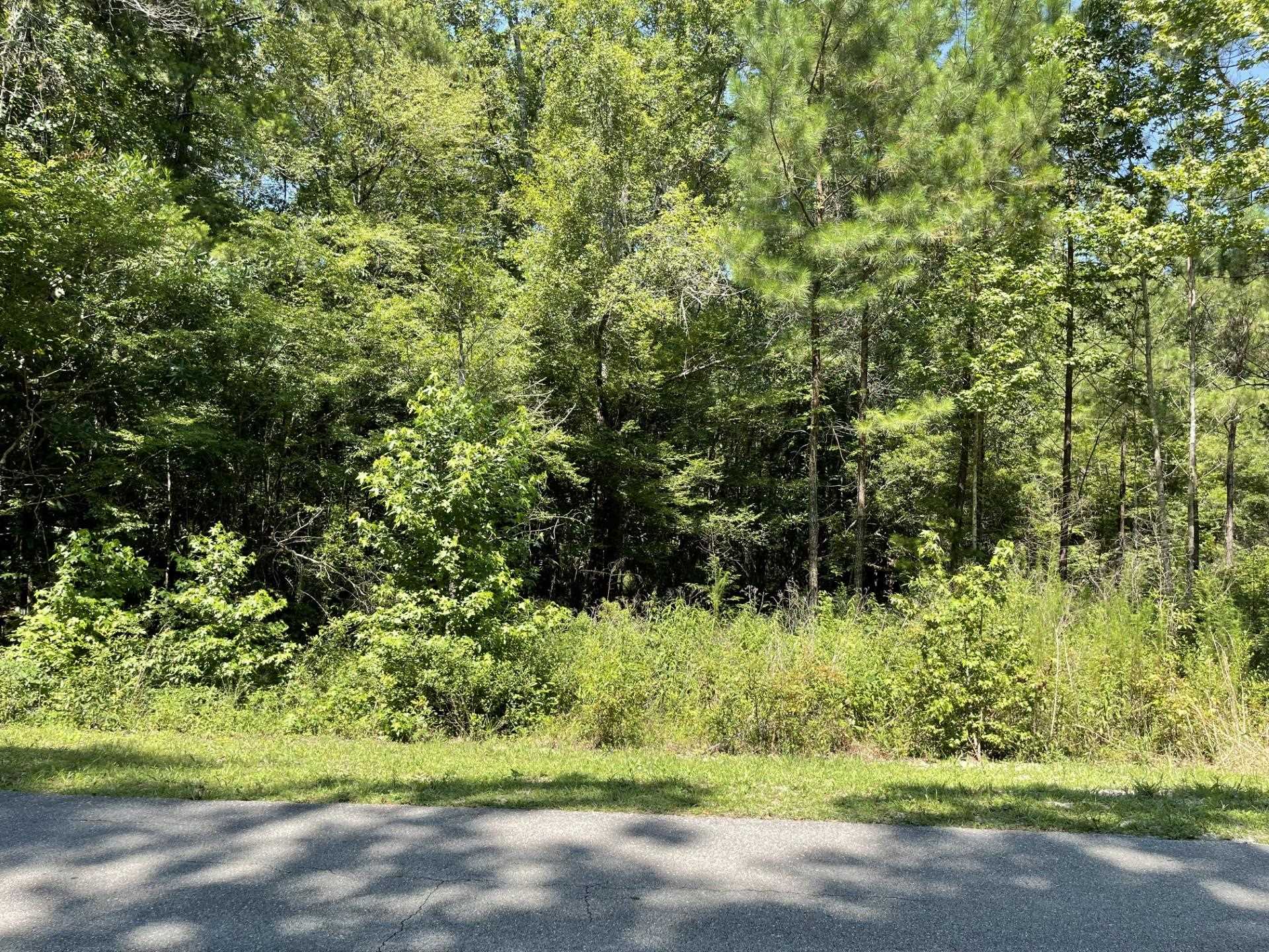 Xxx River Plantation Road Crawfordville, FL 32327 - Photo 10 of 20