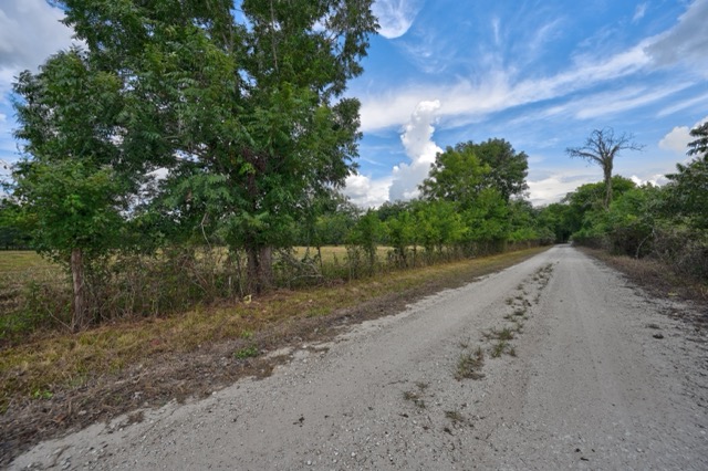 Tbd Pryor Road Brookshire, TX 77423 - Photo 20 of 31 Gallery Image 20