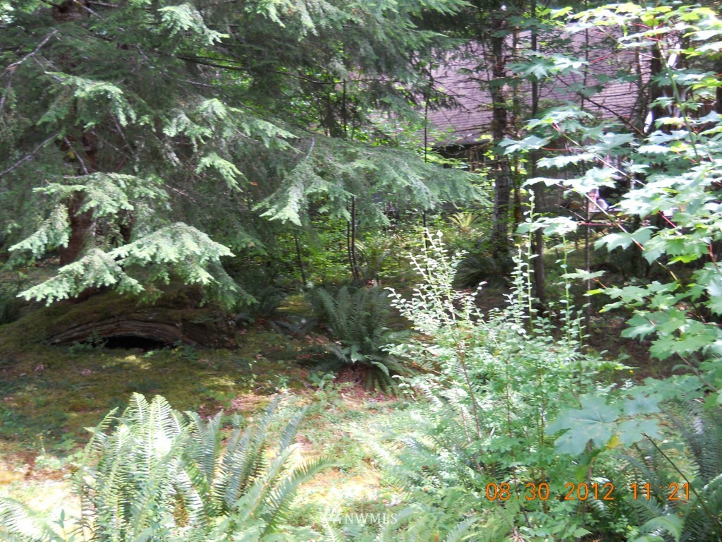 12041 Pinnacle Road Glacier, WA 98244 - Photo 1 of 1 Gallery Image 1