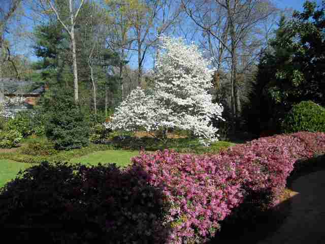 8 Coventry Road Greenville, SC 29615 - Photo 24 of 25 Gallery Image 24