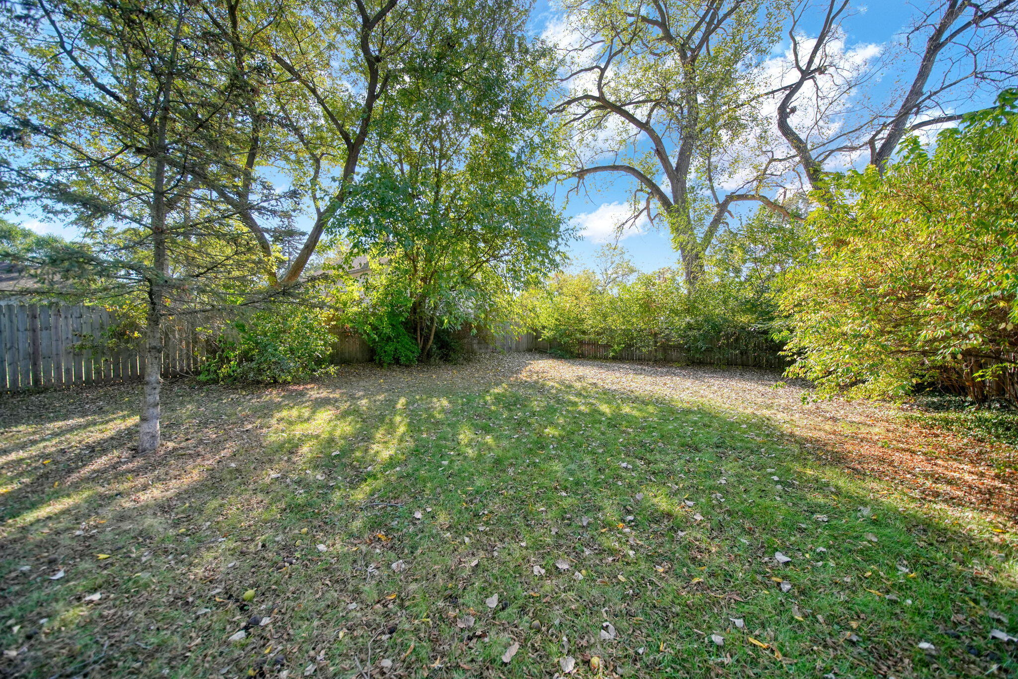 335 Wall Street Jackson, MI 49203 - Photo 43 of 55 42-web-or-mls-DSC08979_HDR