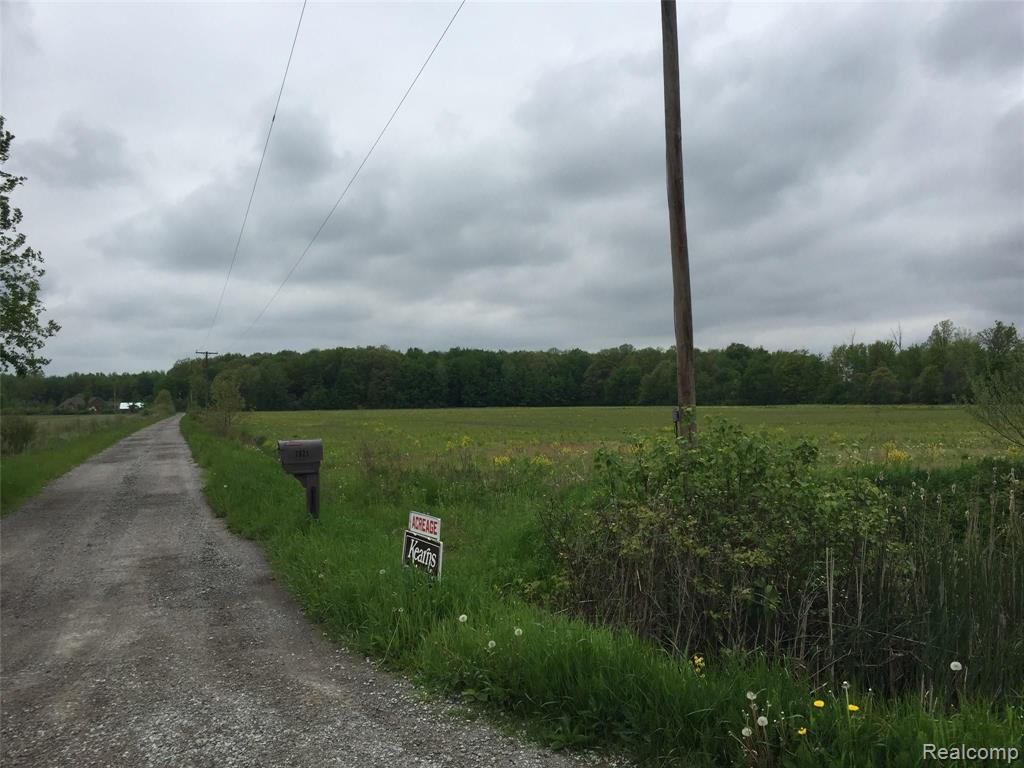 Tbd Cribbins Road Avoca, MI 48006 - Photo 4 of 5