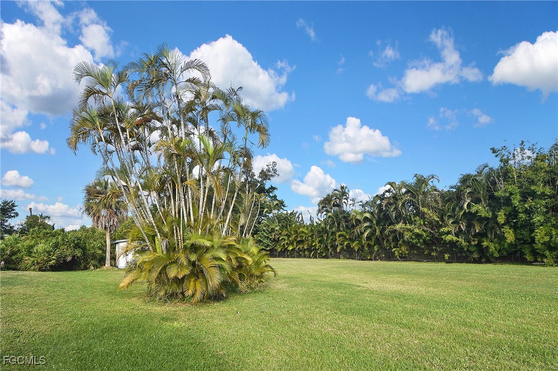 4658 Gulf Shore Road St. James City, FL 33956 - Photo 23 of 50 a close up of a flower in a garden