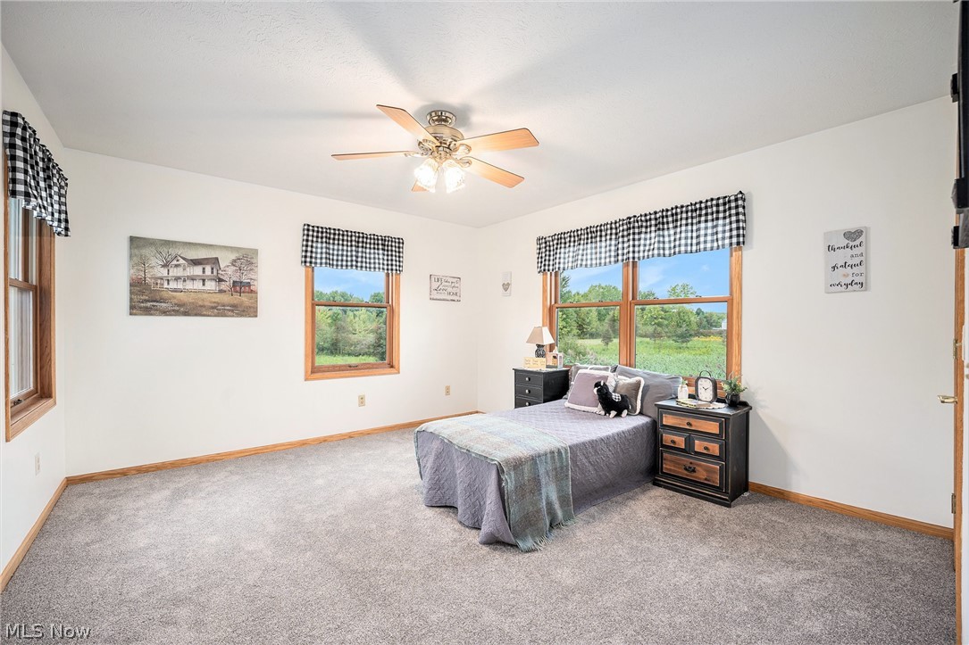 2073 Sexton Road Austinburg, OH 44010 - Photo 16 of 32