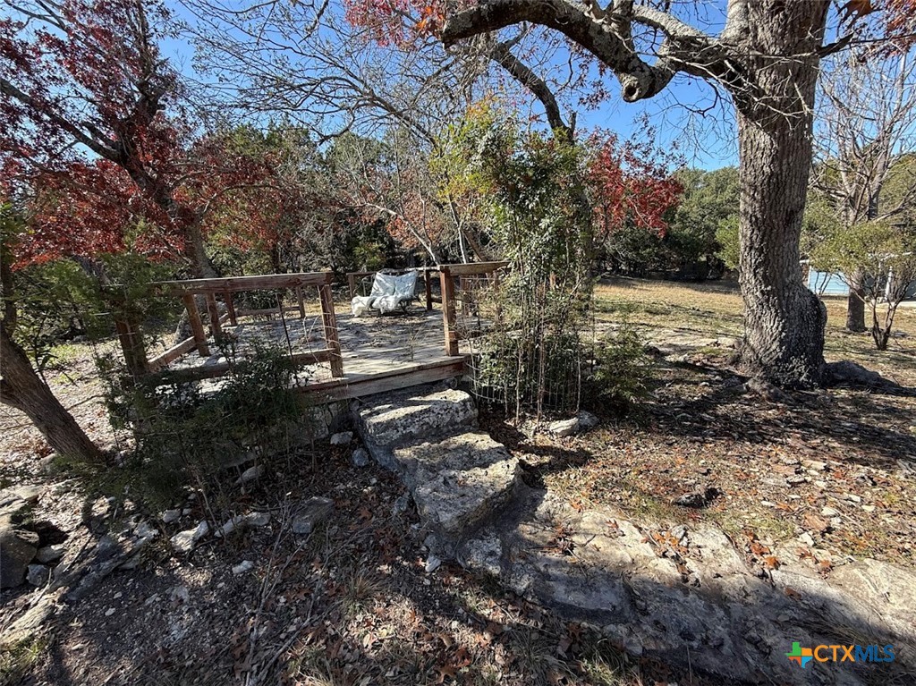 4551 Chamberlain Way Canyon Lake, TX 78133 - Photo 30 of 34 a backyard of a house with lots of green space