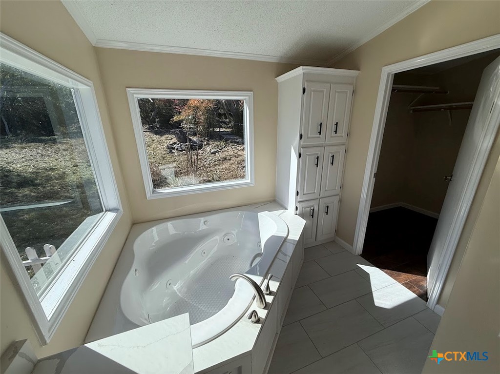 4551 Chamberlain Way Canyon Lake, TX 78133 - Photo 5 of 34 a spacious bathroom with a bathtub and a toilet