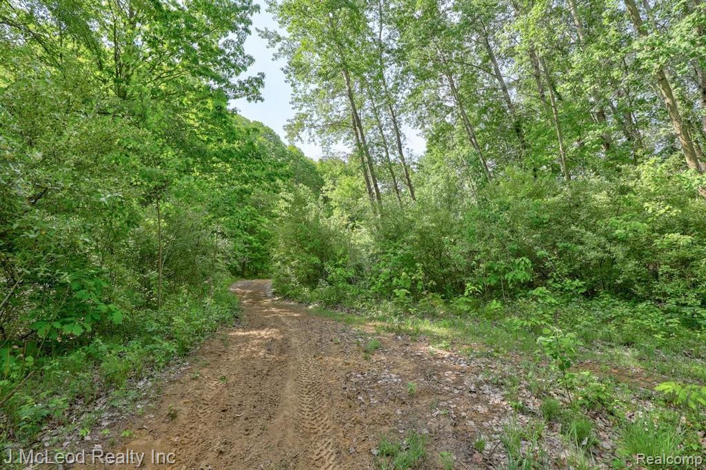 7650 Birch Run Road Millington, MI 48746 - Photo 13 of 34