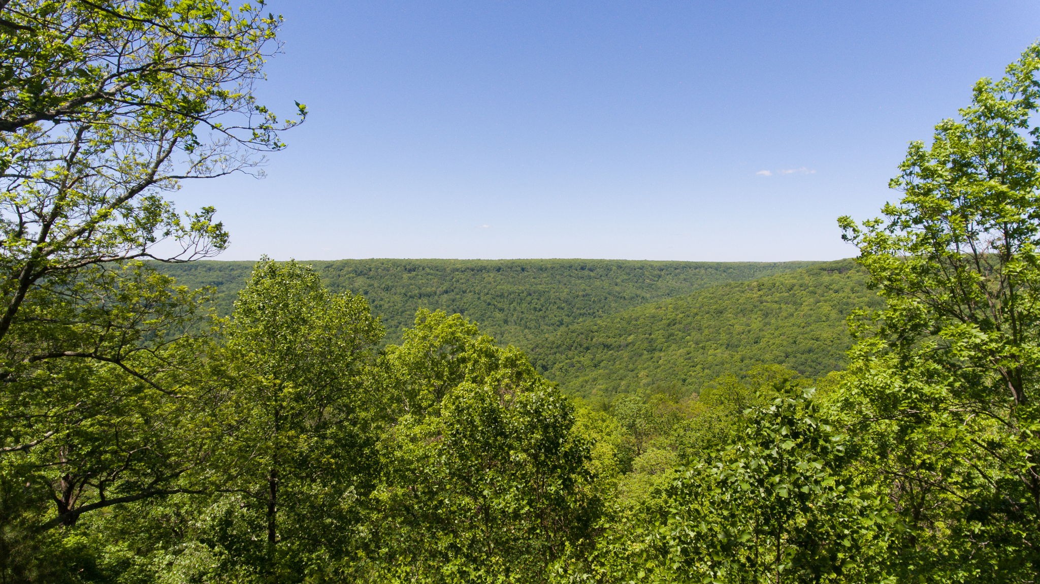 74 Roth Point Road Altamont, TN 37301 - Photo 65 of 70 Gallery Image 65