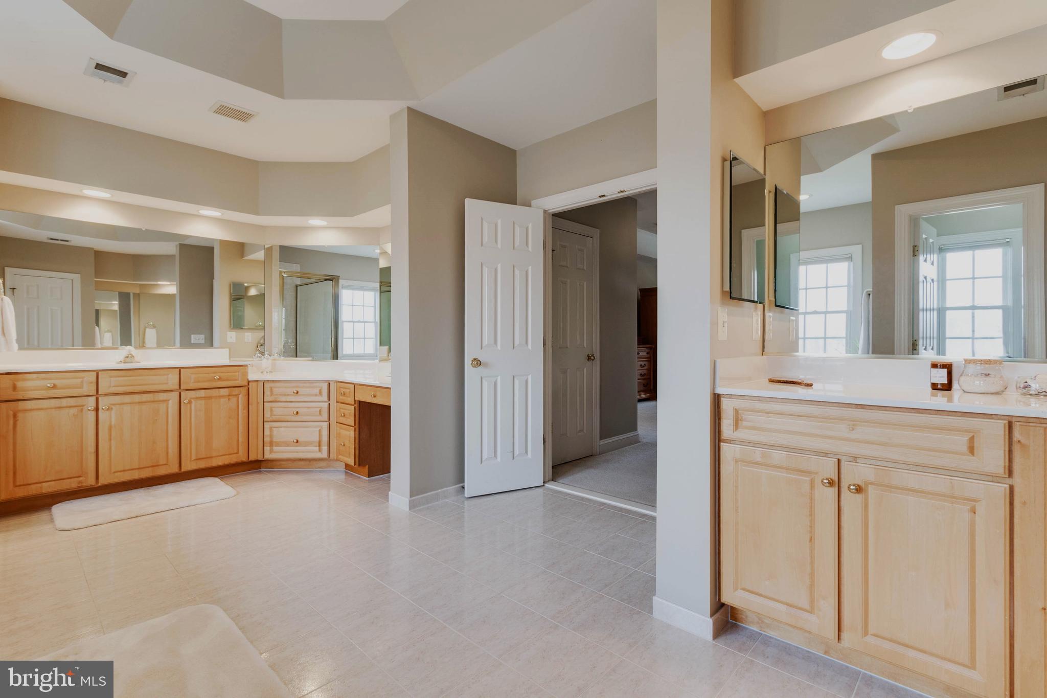 8229 Roxborough Loop Gainesville, VA 20155 - Photo 44 of 108 Luxurious Spa Bath with Tray Ceiling