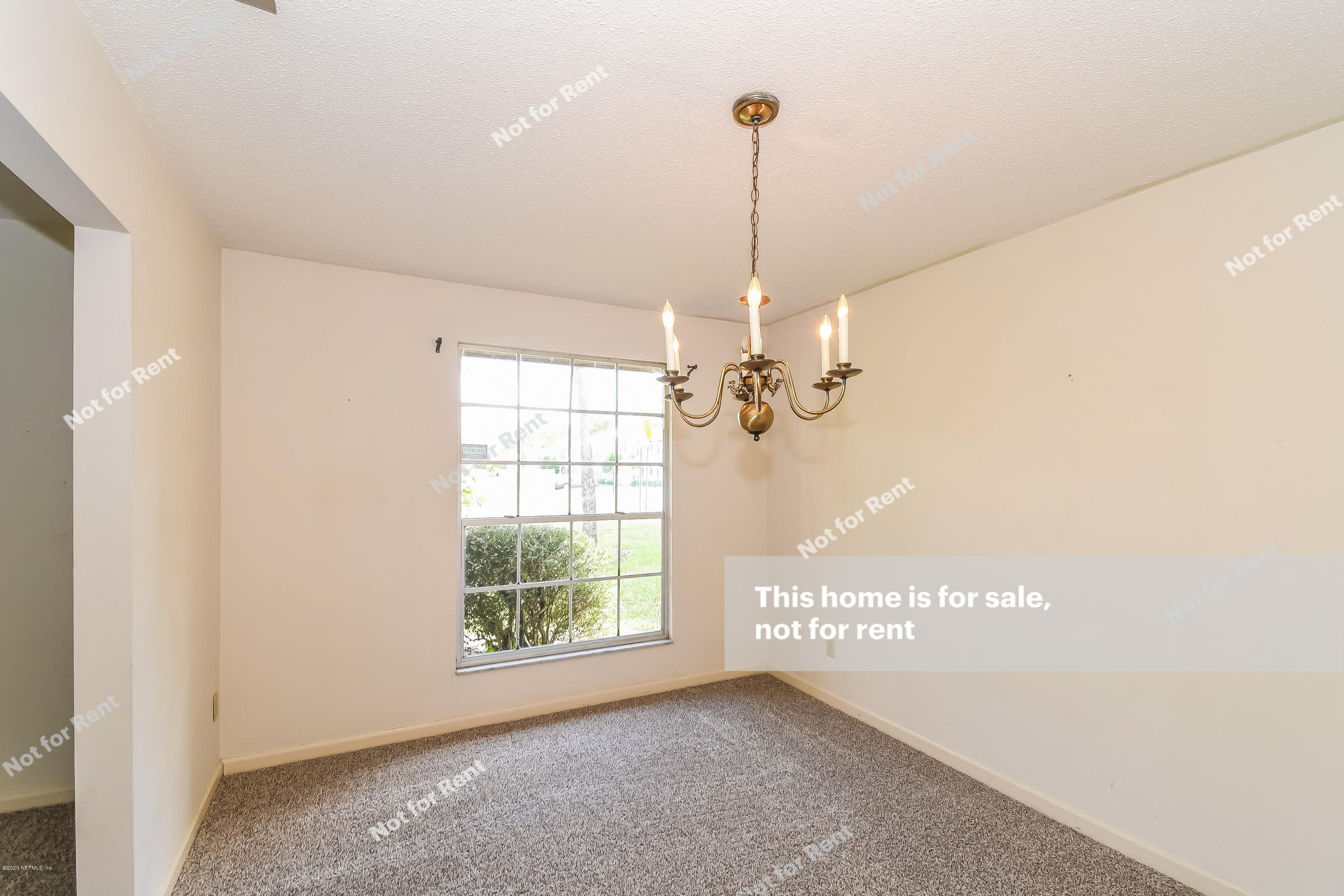 6108 Duclay Road Jacksonville, FL 32244 - Photo 21 of 26 photo_20