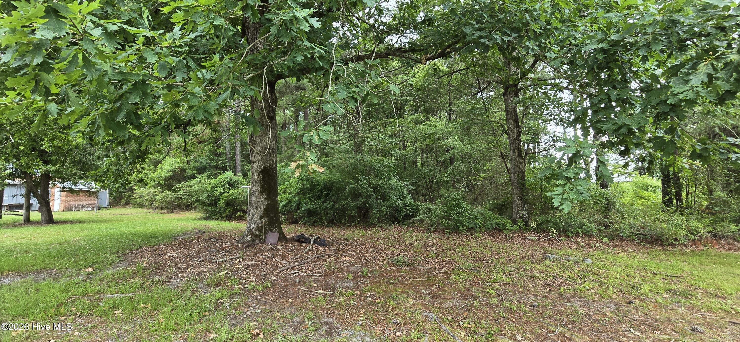 1779 Whichard Cherry Lane Road Stokes, NC 27884 - Photo 9 of 33 Gallery Image 9