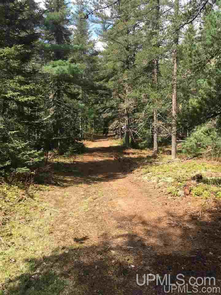 80-acres 80-acres Off Red Road Negaunee, MI 49866 - Photo 3 of 8