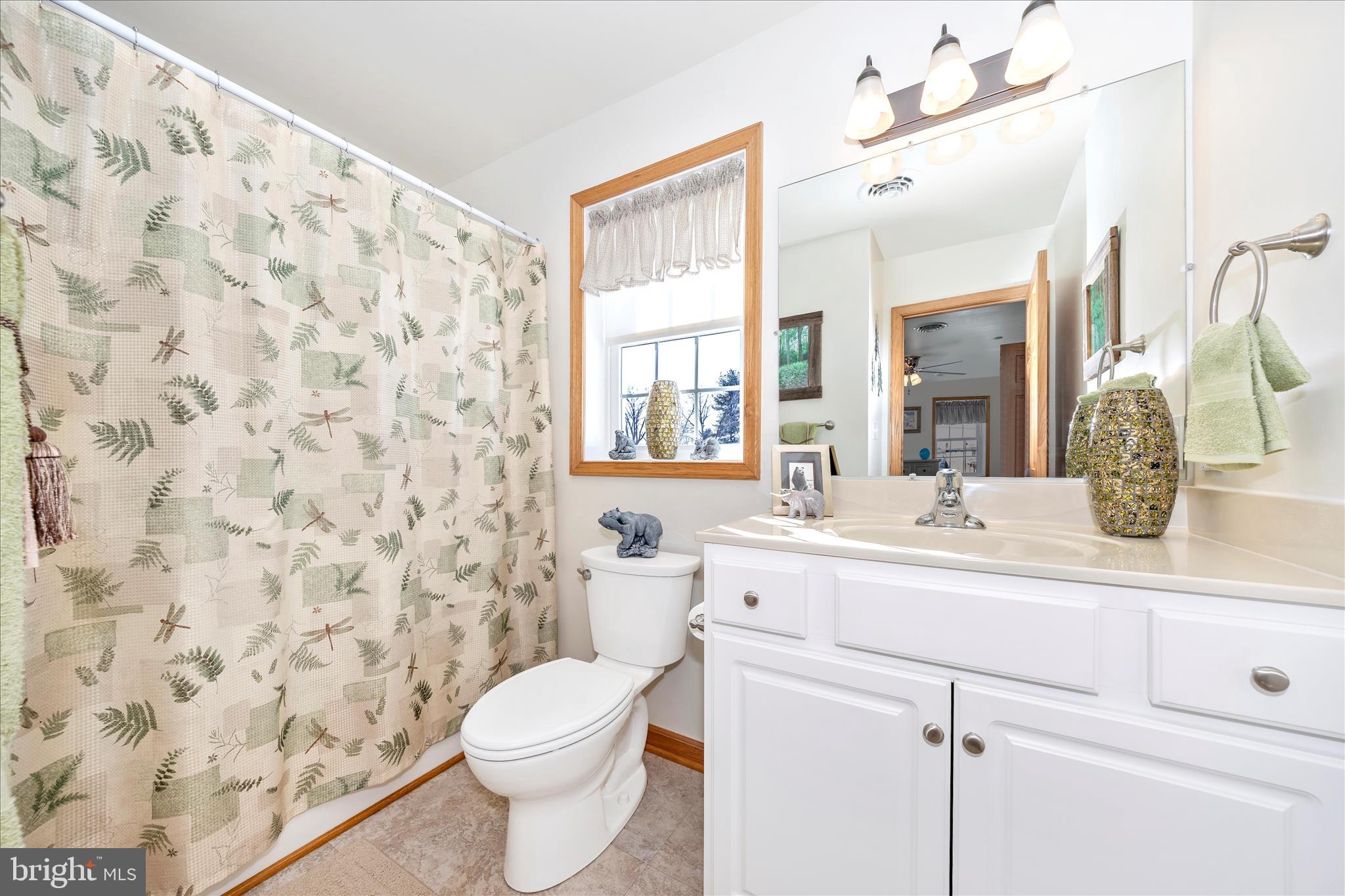 19327 Longmeadow Road Hagerstown, MD 21742 - Photo 26 of 52 Primary Bathroom