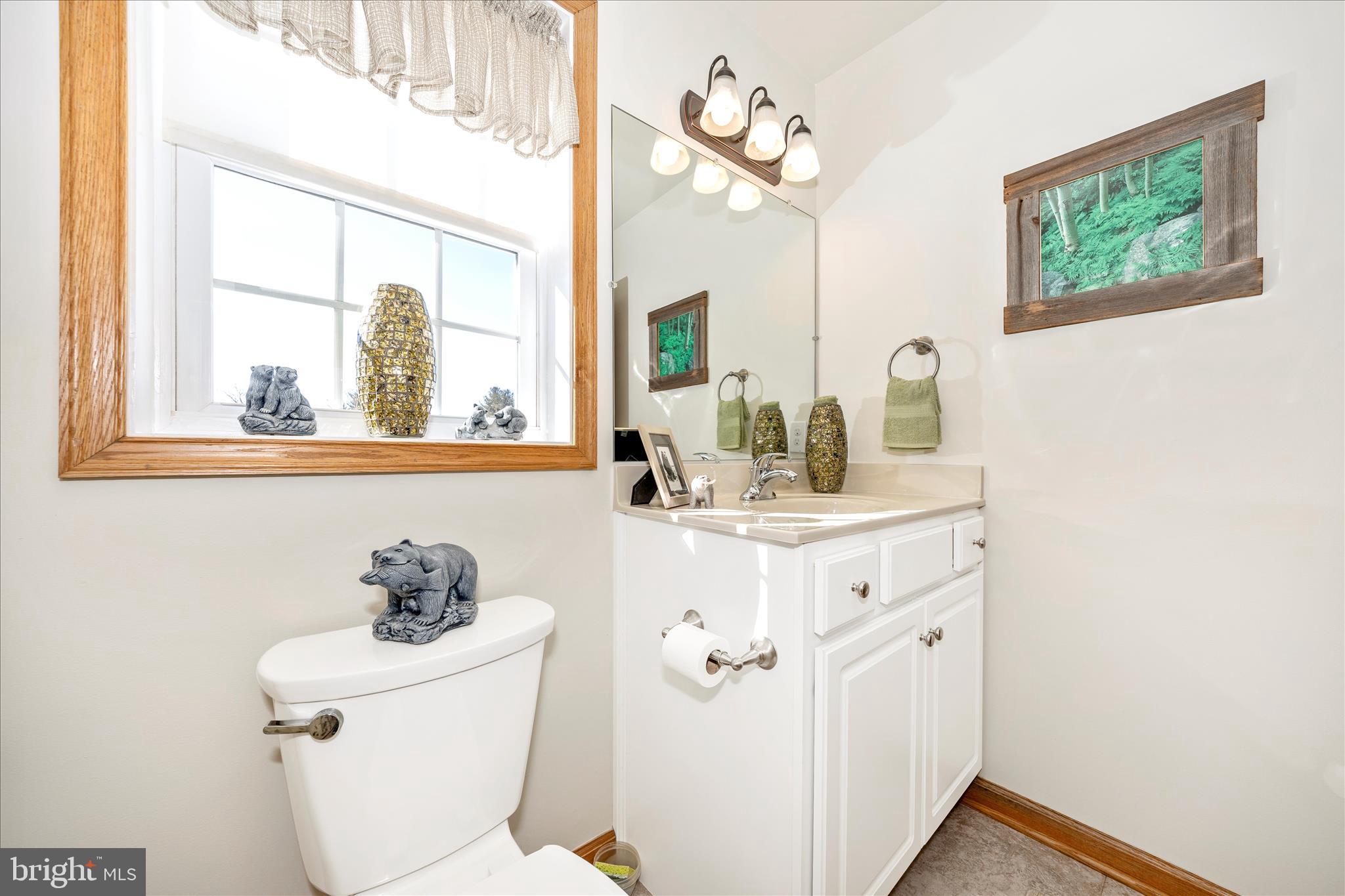 19327 Longmeadow Road Hagerstown, MD 21742 - Photo 27 of 52 Primary Bathroom