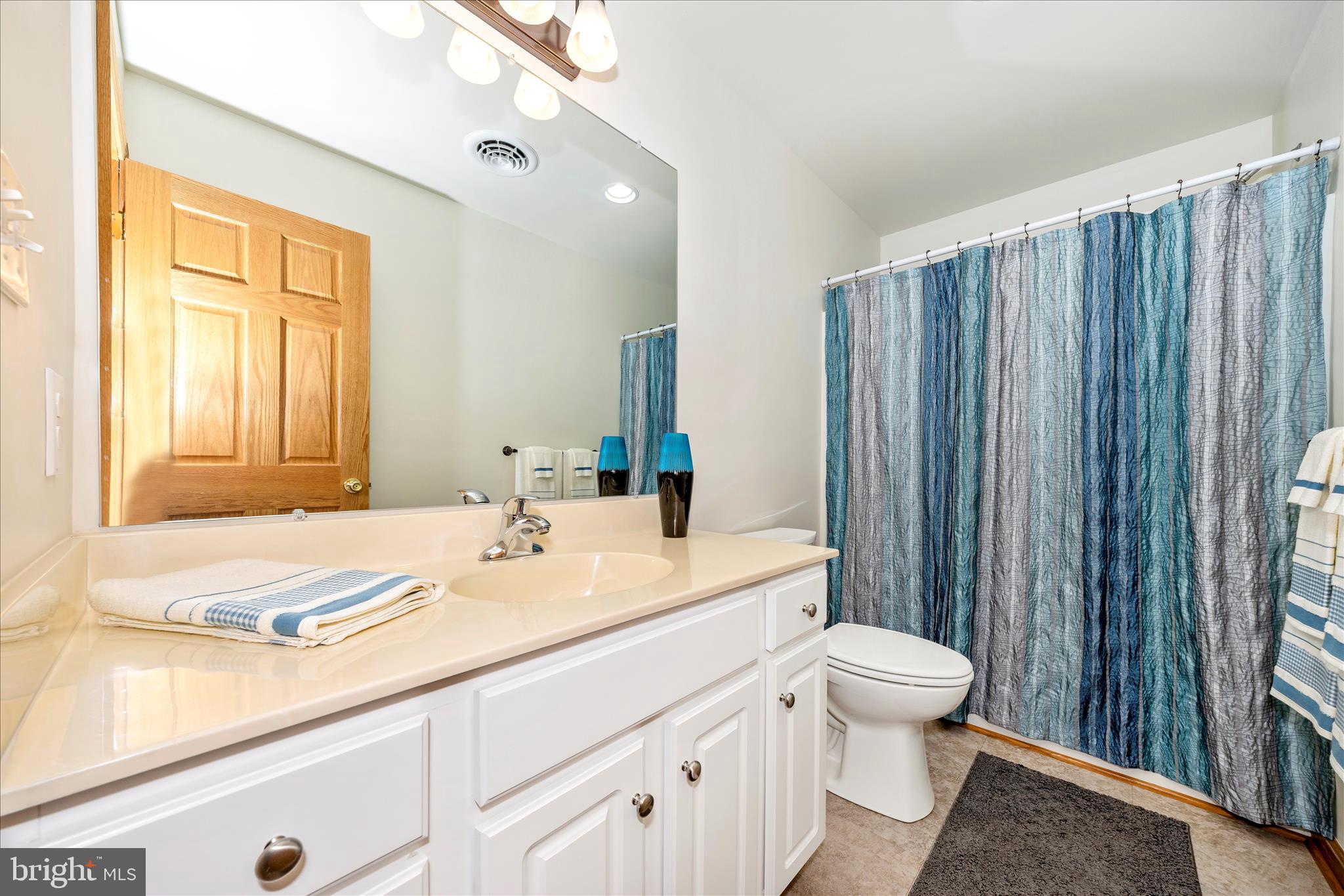 19327 Longmeadow Road Hagerstown, MD 21742 - Photo 34 of 52 Hall Bathroom