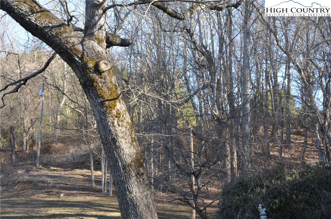 491 Wolfe Road Sparta, NC 28675 - Photo 3 of 37 Gallery Image 3