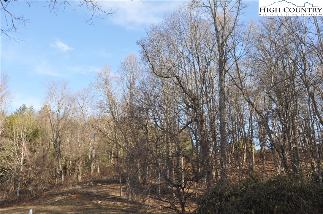 491 Wolfe Road Sparta, NC 28675 - Photo 35 of 37 Gallery Image 35