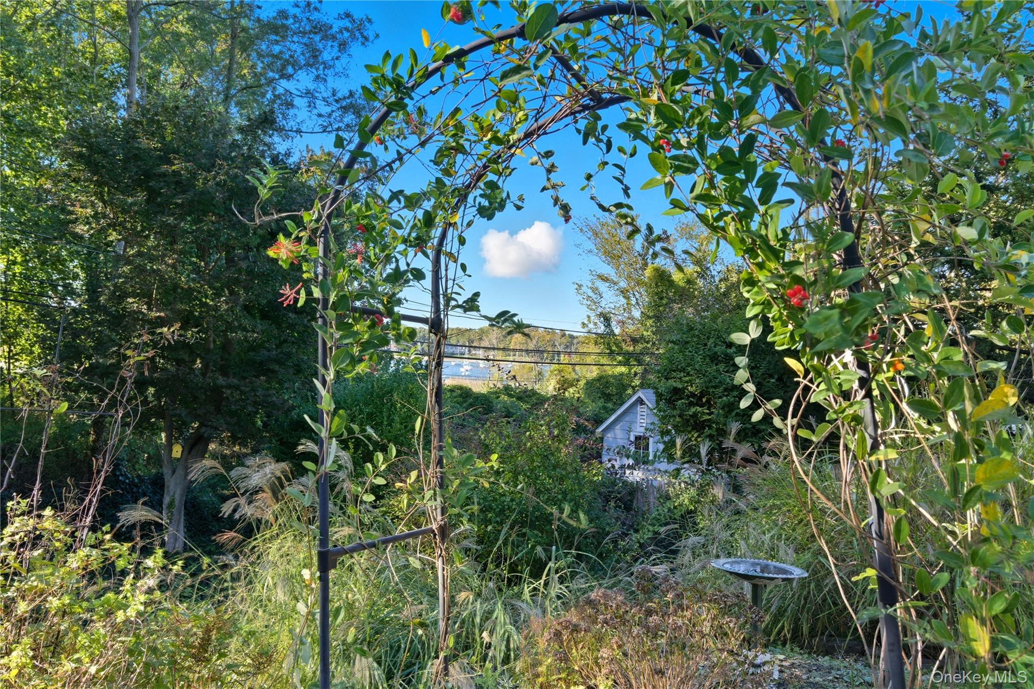 7 Landing Road Huntington, NY 11743 - Photo 37 of 42 a backyard of a building with lots of trees