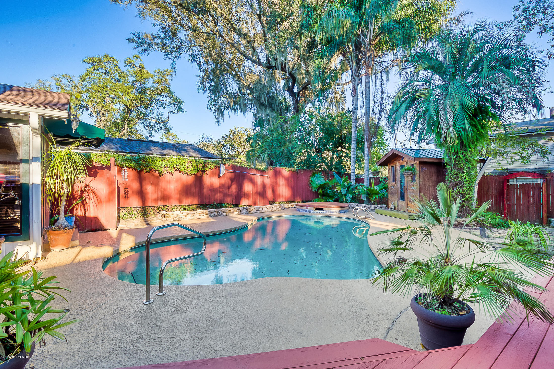 3836 Valencia Road Jacksonville, FL 32205 - Photo 1 of 57 Tropical paradise in Avondale.