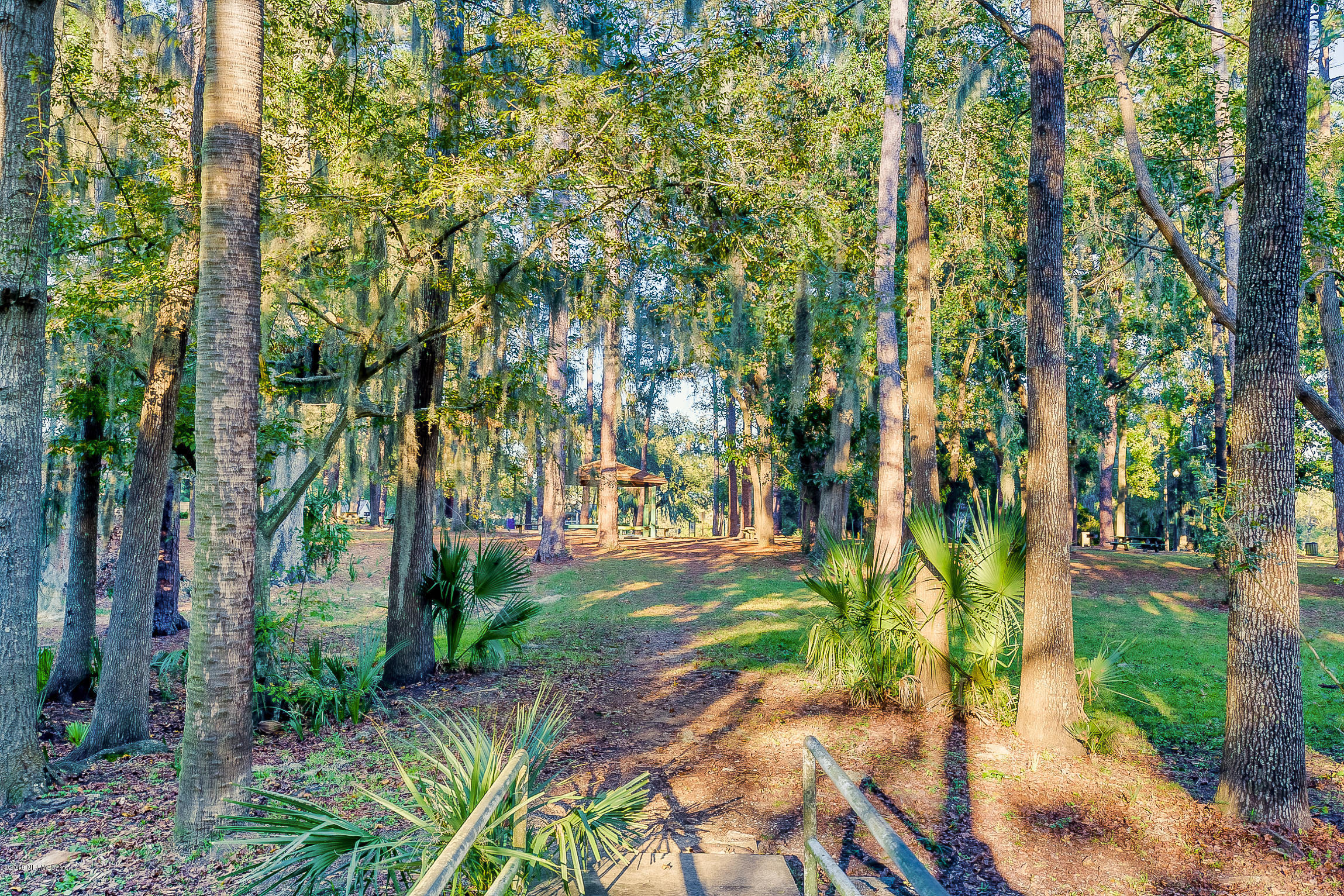 3836 Valencia Road Jacksonville, FL 32205 - Photo 53 of 57 Stroll to Boone Park.