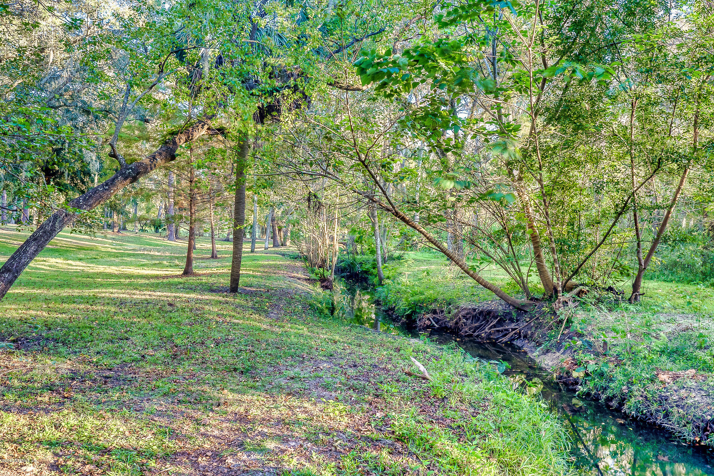 3836 Valencia Road Jacksonville, FL 32205 - Photo 54 of 57 Beautiful Boone Park.