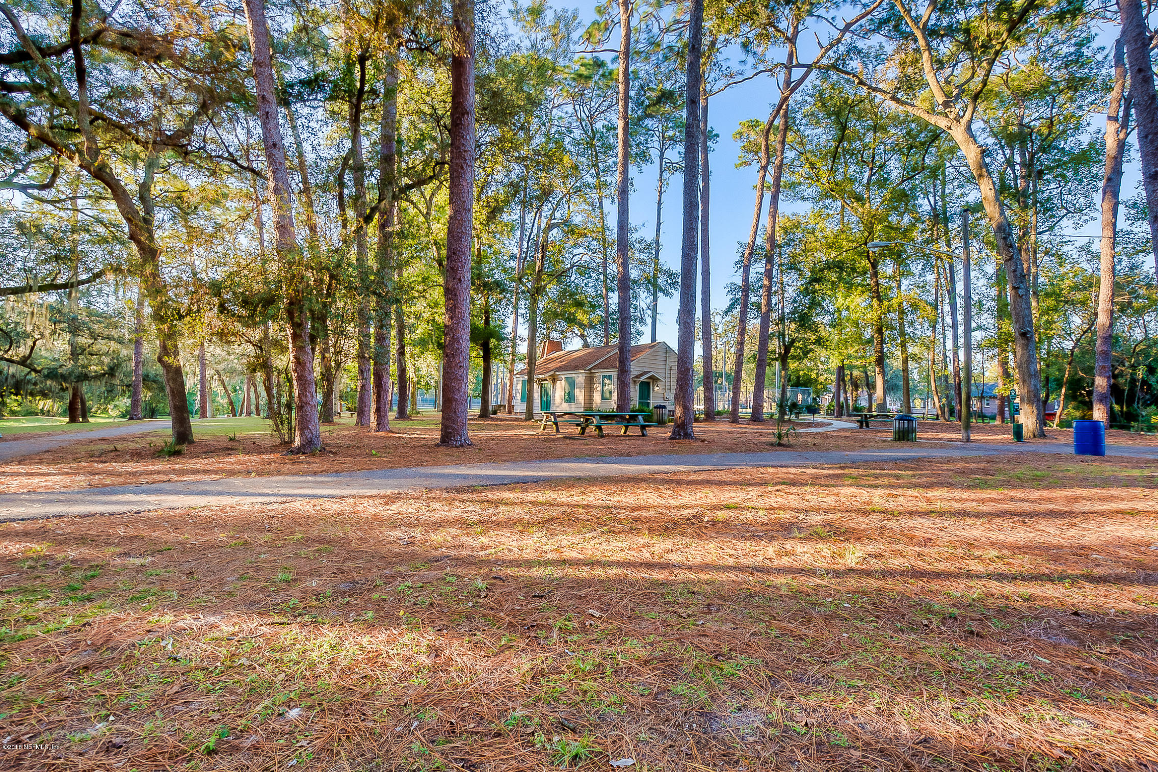 3836 Valencia Road Jacksonville, FL 32205 - Photo 55 of 57 Boone Park walking trails.