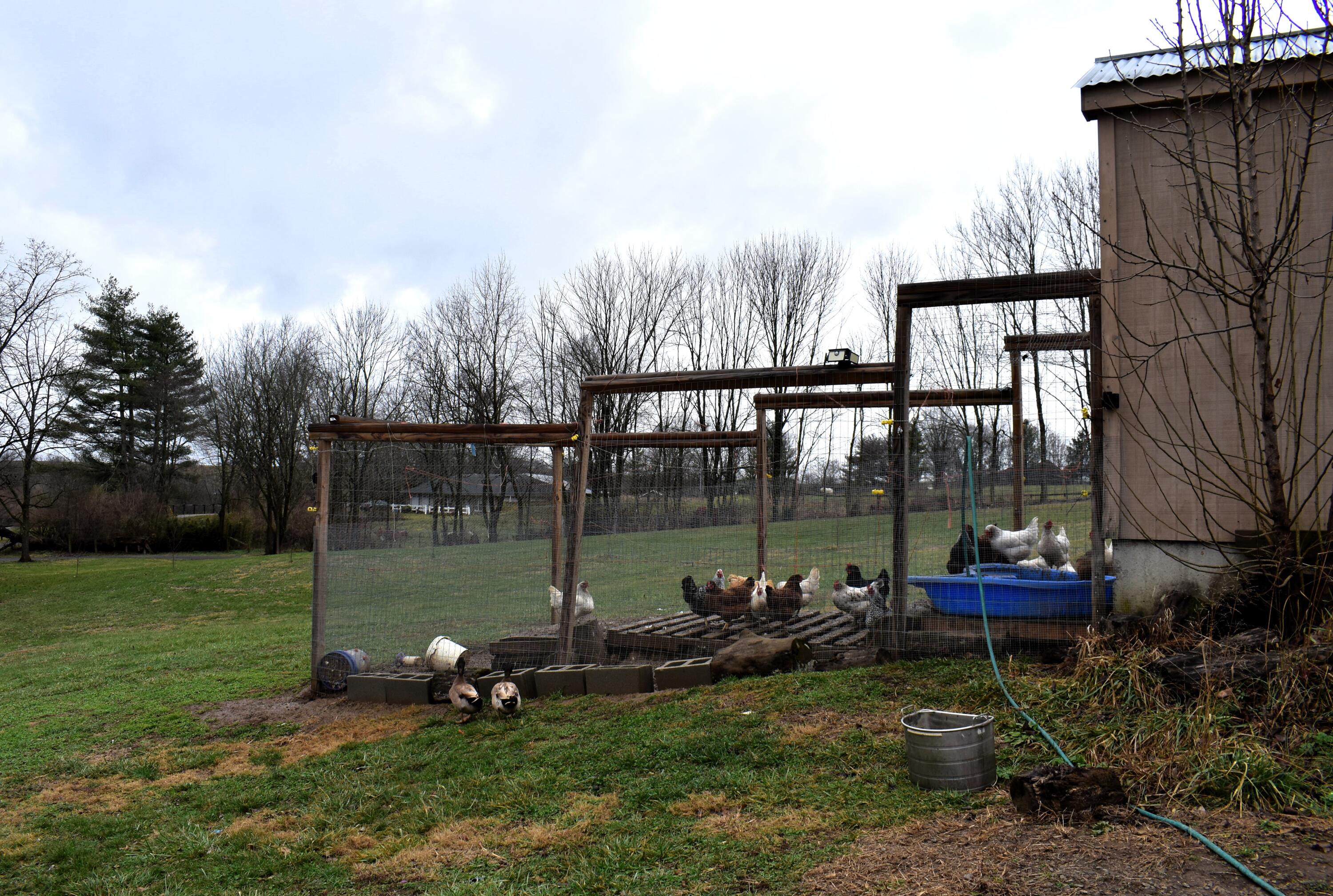 3022 Airport Road Danville, KY 40422 - Photo 4 of 42 chicken coop