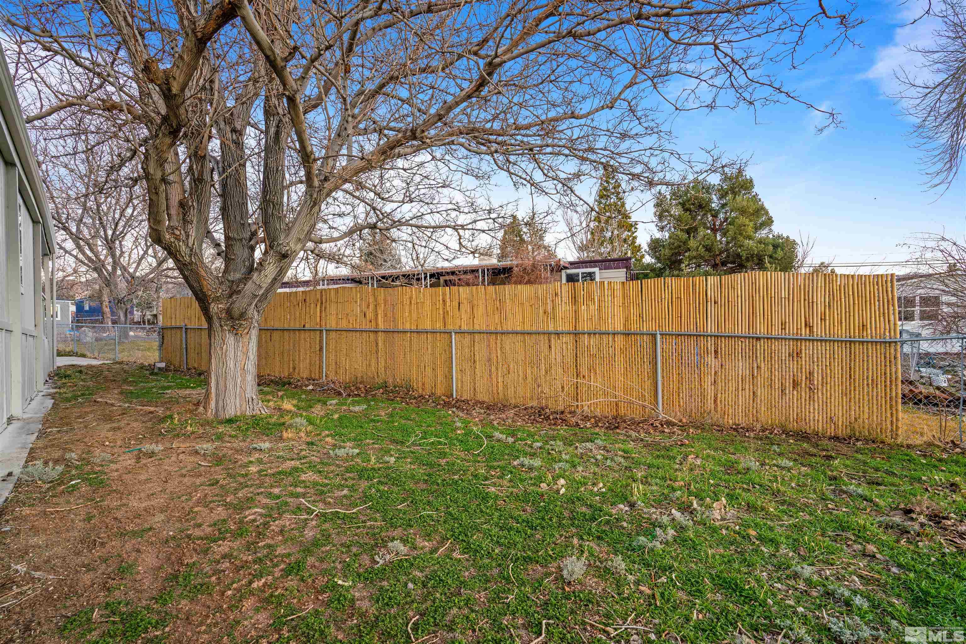 210 Zircon Drive Reno, NV 89521 - Photo 27 of 35 a view of backyard with large trees