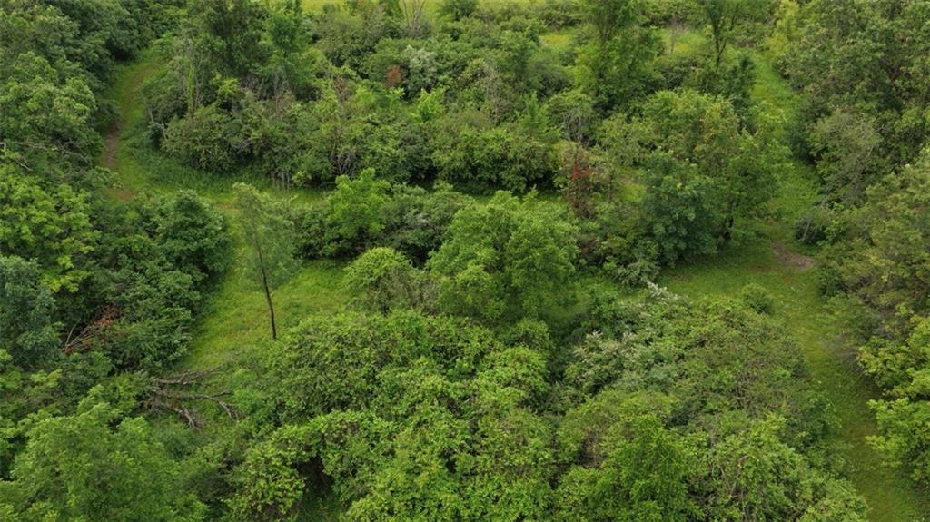 0 Wymps Gap Road Smithfield, PA 15478 - Photo 6 of 10