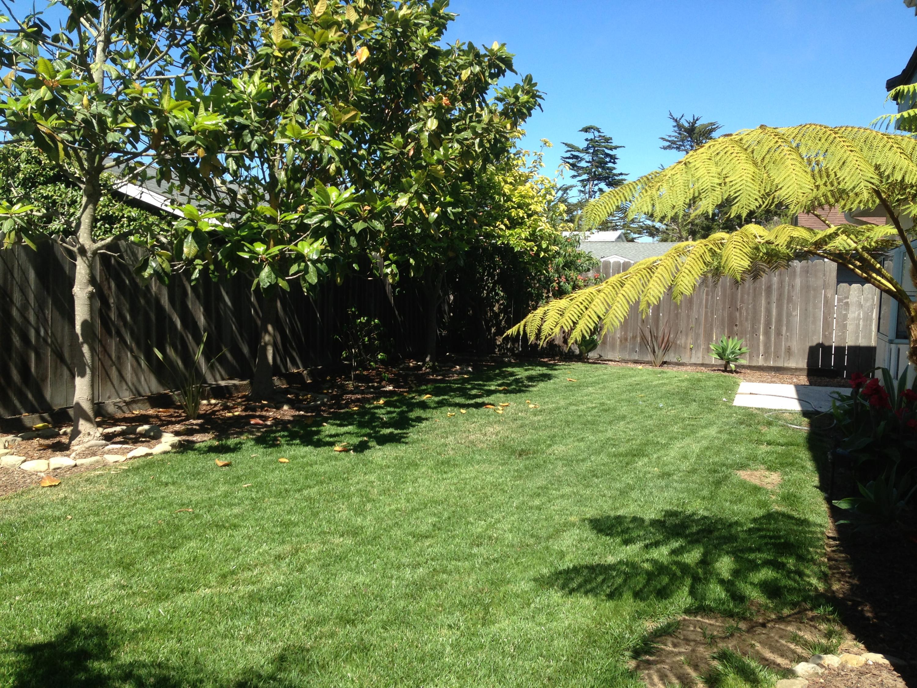 6870 Pasado Road Goleta, CA 93117 - Photo 8 of 12 Back Yard 2