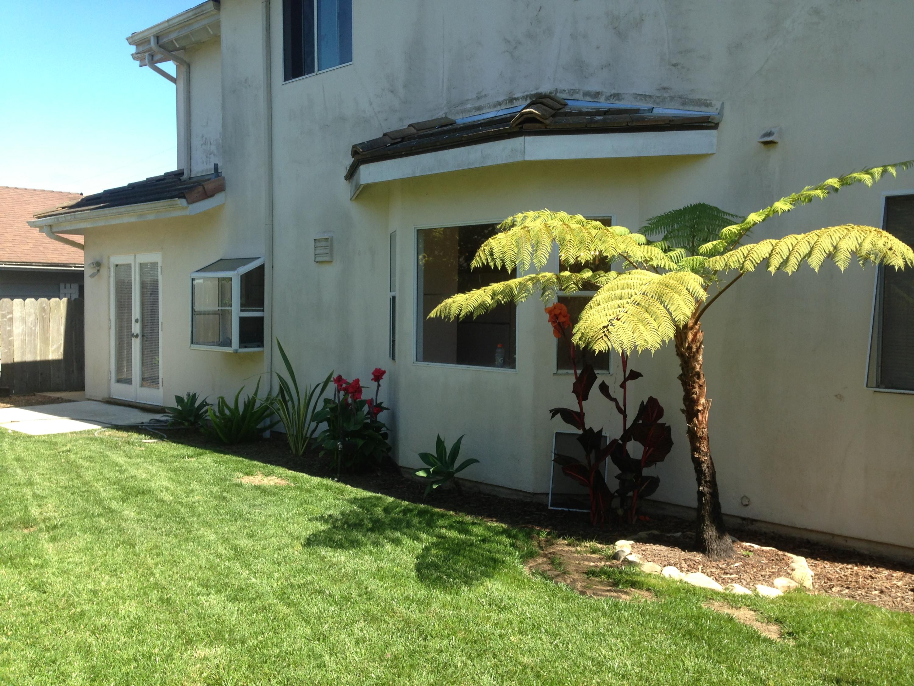 6870 Pasado Road Goleta, CA 93117 - Photo 10 of 12 Back Yard