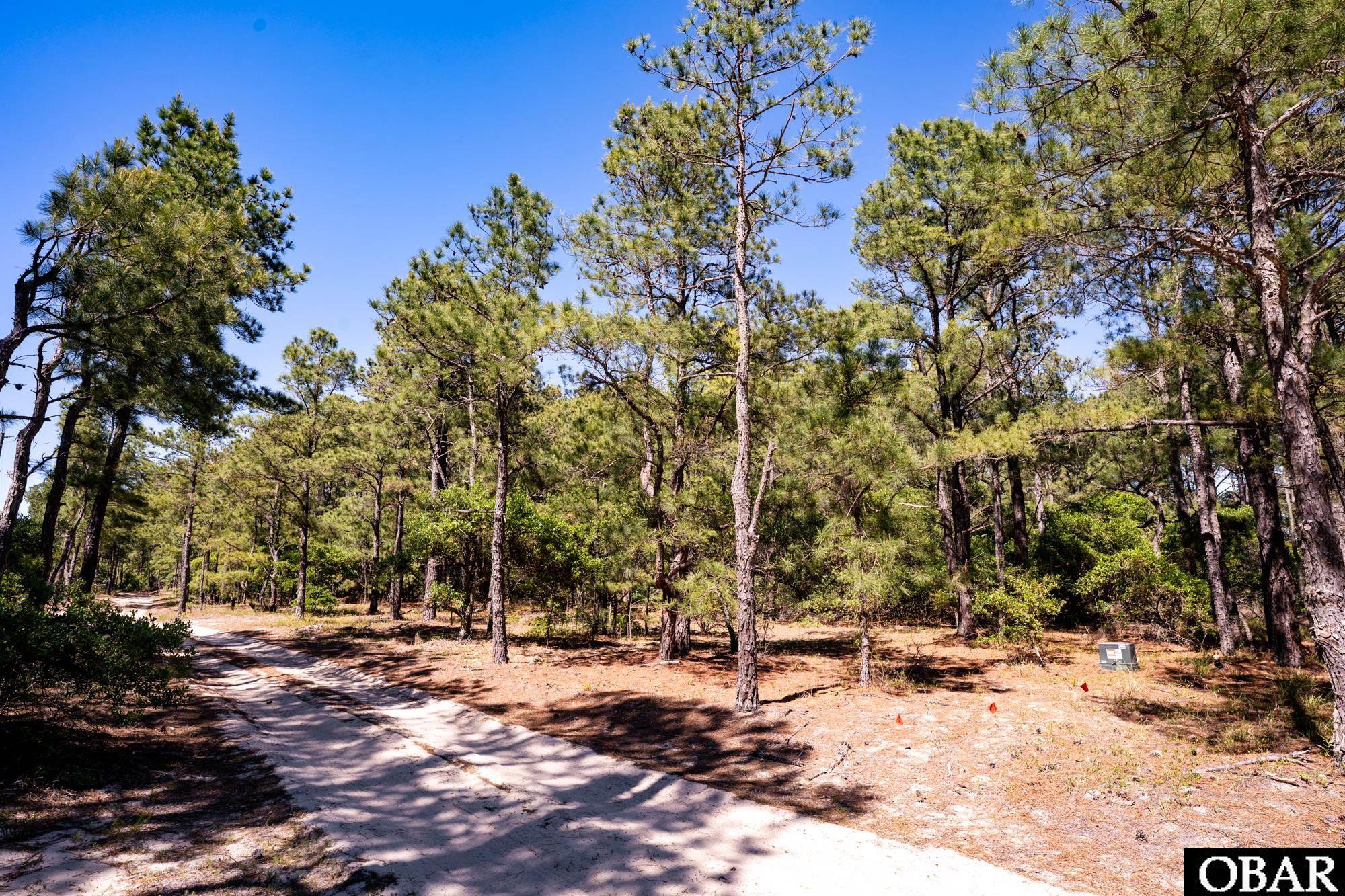 2337 Swan Island Road Corolla, NC 27927 - Photo 7 of 12 Gallery Image 7