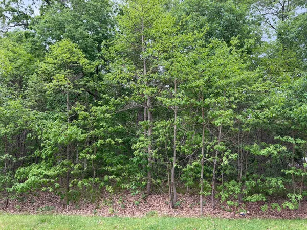 $55,000 | Vacant Lot Vacant East, Demotte, IN 46310