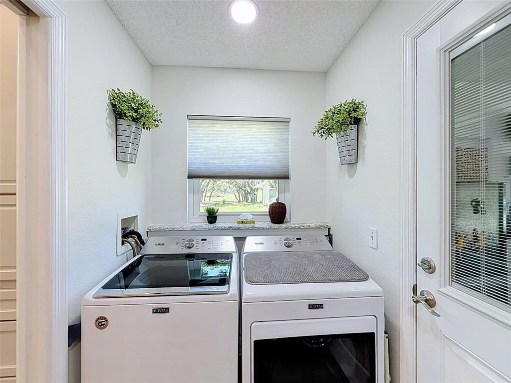 7442 Woodhollow Road Spring Hill, FL 34606 - Photo 24 of 55