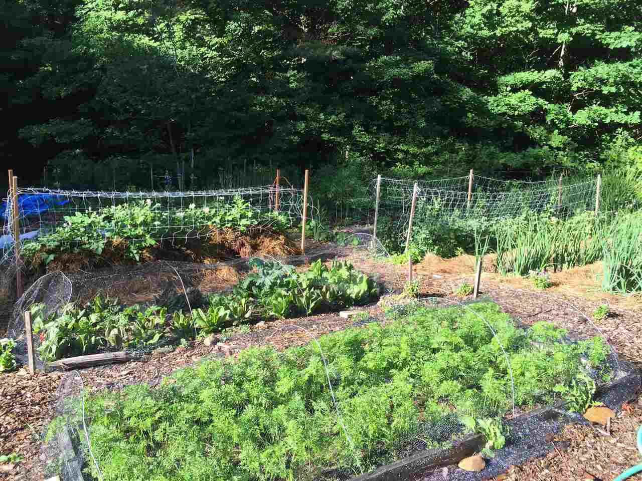27 Star Mountain Road Strafford, VT 05070 - Photo 3 of 36