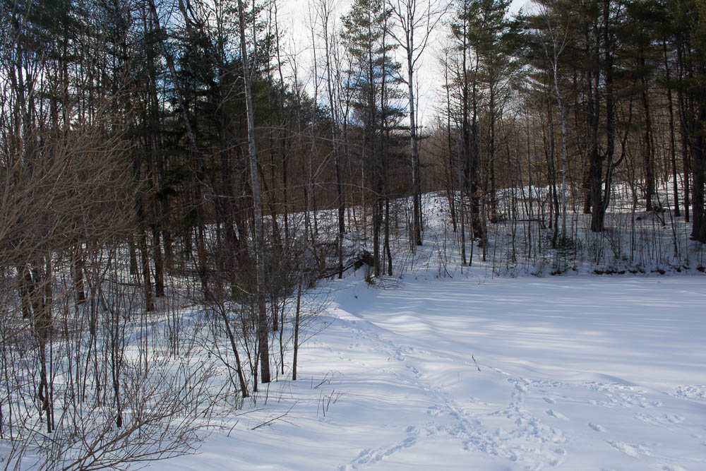 27 Star Mountain Road Strafford, VT 05070 - Photo 29 of 36