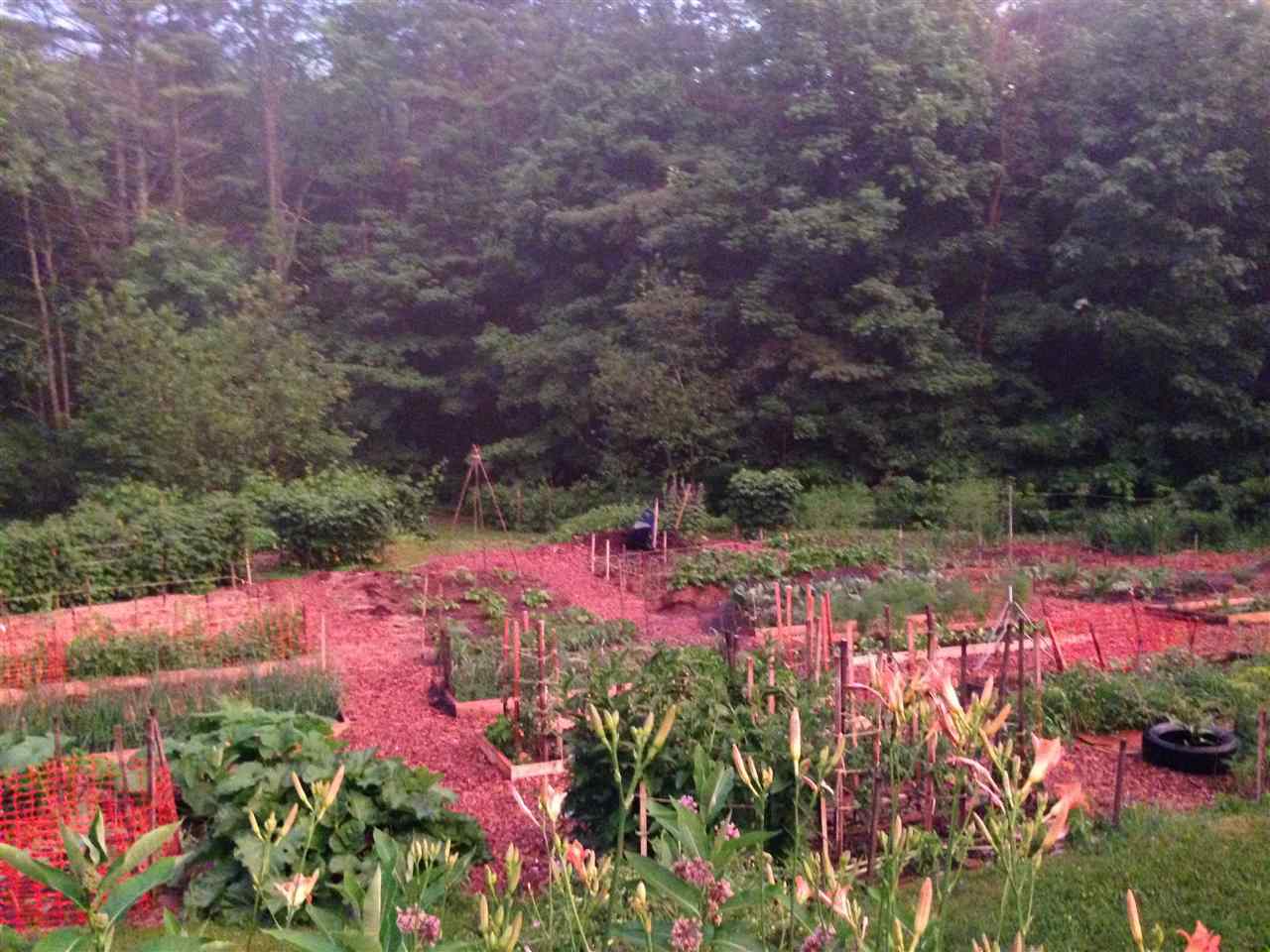 27 Star Mountain Road Strafford, VT 05070 - Photo 4 of 36
