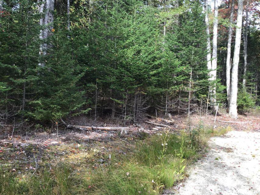 8 South Road Lamoine, ME 04605 - Photo 7 of 10 20211007145542795093000000-o