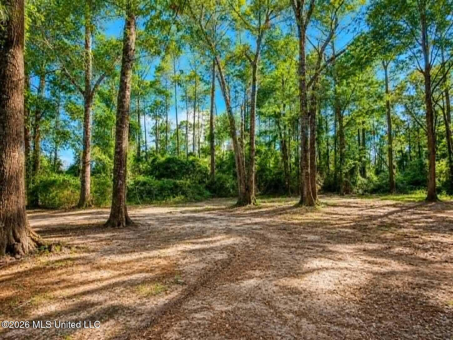 1295 Beaver Creek Road Lucedale, MS 39452 - Photo 39 of 40 Acreage