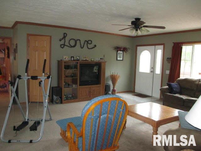 11630 Pebble Road Mount Vernon, IL 62864 - Photo 17 of 50 Gallery Image 17